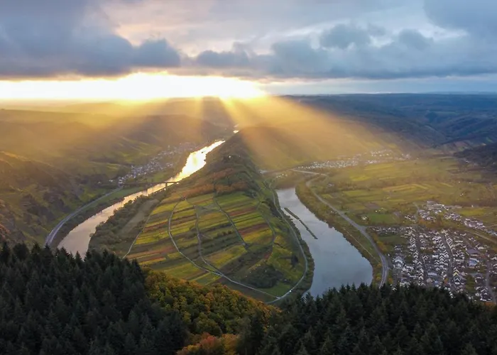 Maison d'hôtes Weinhaus Hirschen Bruttig-Fankel